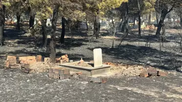 Çanakkale'de Orman Yangını: 1400 Hektar Zarar