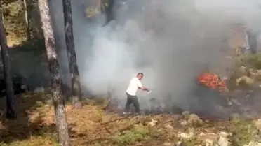 Bursa'da Orman Yangınına Vatandaş Müdahalesi