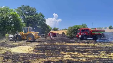 Eflani'de Anız Yangını Kontrol Altına Alındı