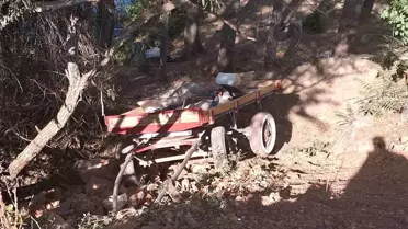 At Arabası Şarampole Yuvarlandı