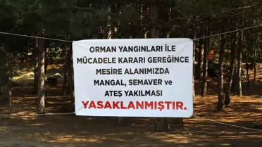 Başkan Palancıoğlu'ndan mesire alanlarında mangal ve semaver uyarısı