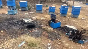 Bursa'da Yangın, Milyonlarca Arıyı Telef Etti