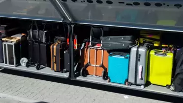  Otobüs şoförü valizin hareket ettiğini fark etti, içini açınca şaşkına döndü