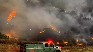 California'daki Orman Yangını Büyüyor
