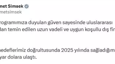 2025'te Dış Finansman 7 Milyar Dolar