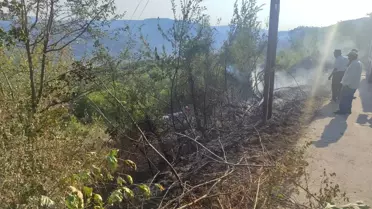 Bartın'da Yangınlar Kontrol Altında