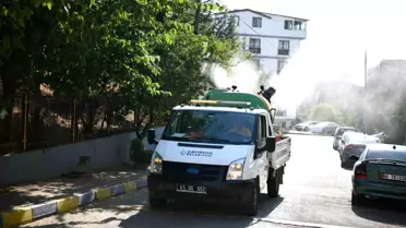 Çayırova'da Yaz Aylarında Sinek ve Haşere Mücadelesi