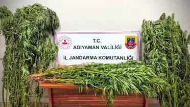 Adıyaman'da Uyuşturucu Operasyonu: 9 Gözaltı