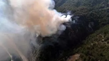 Karabük'te Orman Yangını