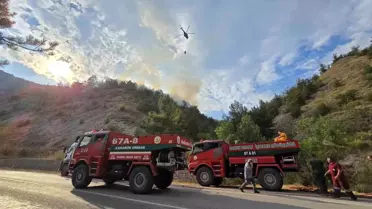 Karabük'te Orman Yangını Kontrol Altında
