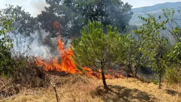 Geyve'de Yangın Hızla Söndürüldü