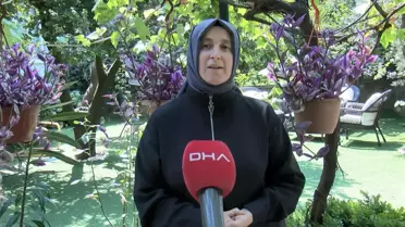 30 Yıl Sonra Üniversite Mezunu Oldu