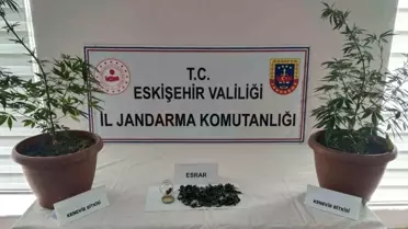 Eskişehir'de Kenevir ve Esrar Ele Geçirildi