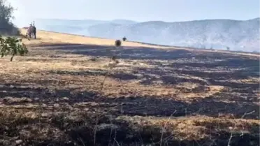 Eskipazar'da Anız Yangını Kontrol Altına Alındı