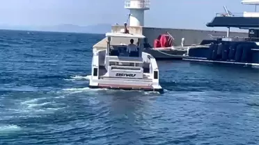 Halit Yukay'ın Kayboluşu