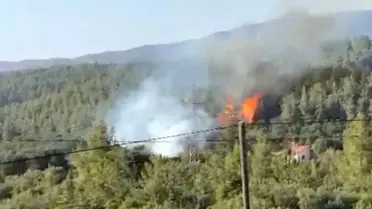 Denizli'deki Orman Yangını Kundaklama Sonucu Çıktı