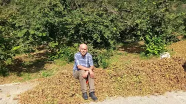 Fındık Fiyatları Yükselecek