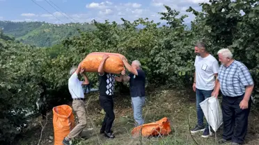 Fındık Taban Fiyatı Açıklandı