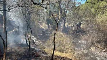 Balıkesir'in Güre Mahallesi'nde Yangın Kontrol Altına Alındı