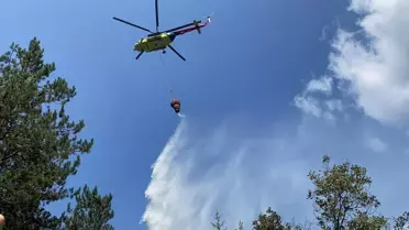 Bolu'da Orman Yangını Kontrol Altına Alındı