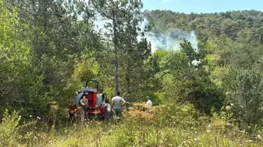 Bolu'da Orman Yangınına Müdahale