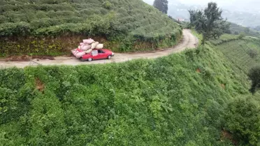 Otomobiliyle Çay Taşıyan Çiftçi