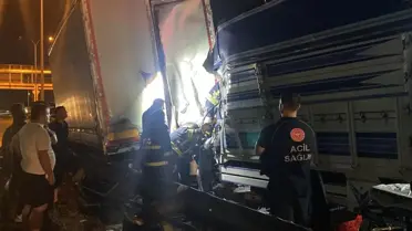 Kocaeli'de Trafik Kazası: Genç Şoför Hayatını Kaybetti