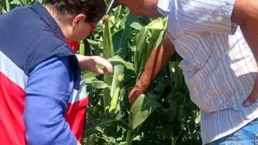 Kütahya'da Tarım Kontrolleri