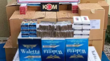 Çorlu'da Kaçak Makaron Operasyonu