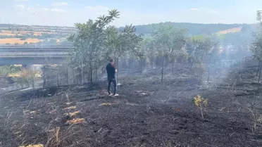 Babaeski'de Yangın Kontrol Altına Alındı