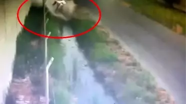 Hatay'da Otomobil Sulama Kanalına Düştü