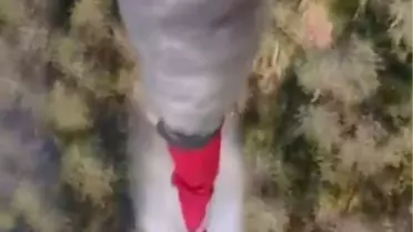 Sinop'ta Orman Yangını: Köklen Köyü Tahliye Edildi