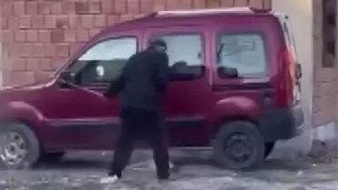 Yaralı Köpeğe 'Mucize' İsmi Verildi
