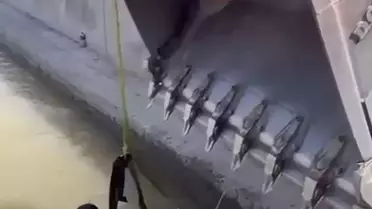 Iğdır'da Dana Kanaldan Kepçeyle Kurtarıldı