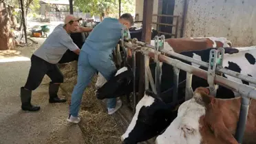 Bozdoğan'da Hayvan Sağlığı İçin Kontroller Devam Ediyor