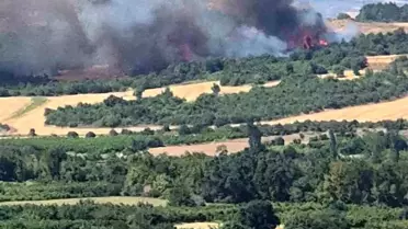 Çanakkale'de Tarım Arazisindeki Yangın Ormana Sıçradı