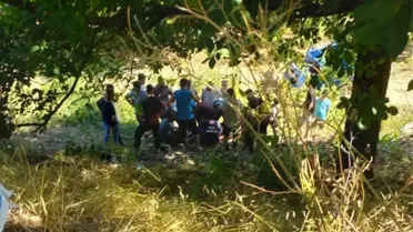 Yığılca'da Patpat Devrildi: 4 Yaralı