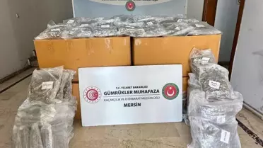 Mersin Limanı'nda 587 Kilo Esrar Ele Geçirildi