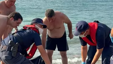 Yaralı Caretta Caretta Kurtarıldı