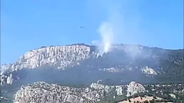 Sinop'taki Yangın Kontrol Altında