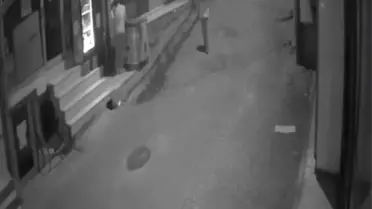 Batman'da Dondurma Hırsızlığı