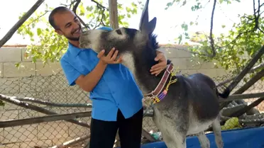 Ömer Sezgin, Yavru Eşeği Sahiplenmek İçin Mardin'e Gitti