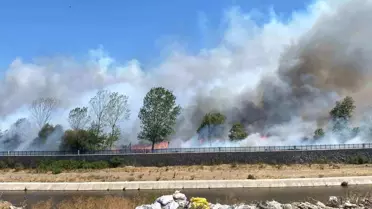 Ayvacık'ta Yangın: Ormanlık Alana Sıçradı