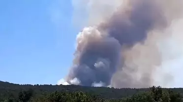 Bolu'da Orman Yangını