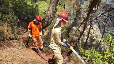 Aydın'daki Orman Yangını Hızla Kontrol Altına Alındı
