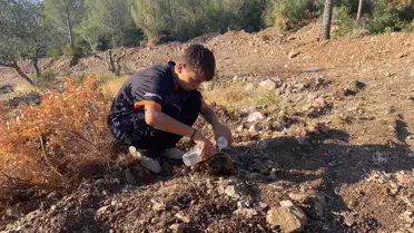 Soma'da Orman Yangını: 2 Gözaltı