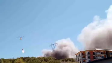 Kahramanmaraş'ta Orman Bölge Müdürlüğü Yangını