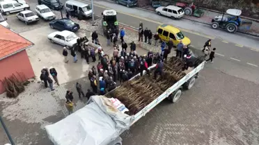 Denizli, Ceviz Üretiminde Zirveye Yerleşti