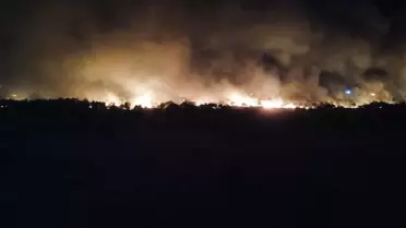 Enez'de Orman Yangınına Müdahale Devam Ediyor