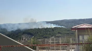 Yayladağı'nda Orman Yangını Kontrol Altına Alındı